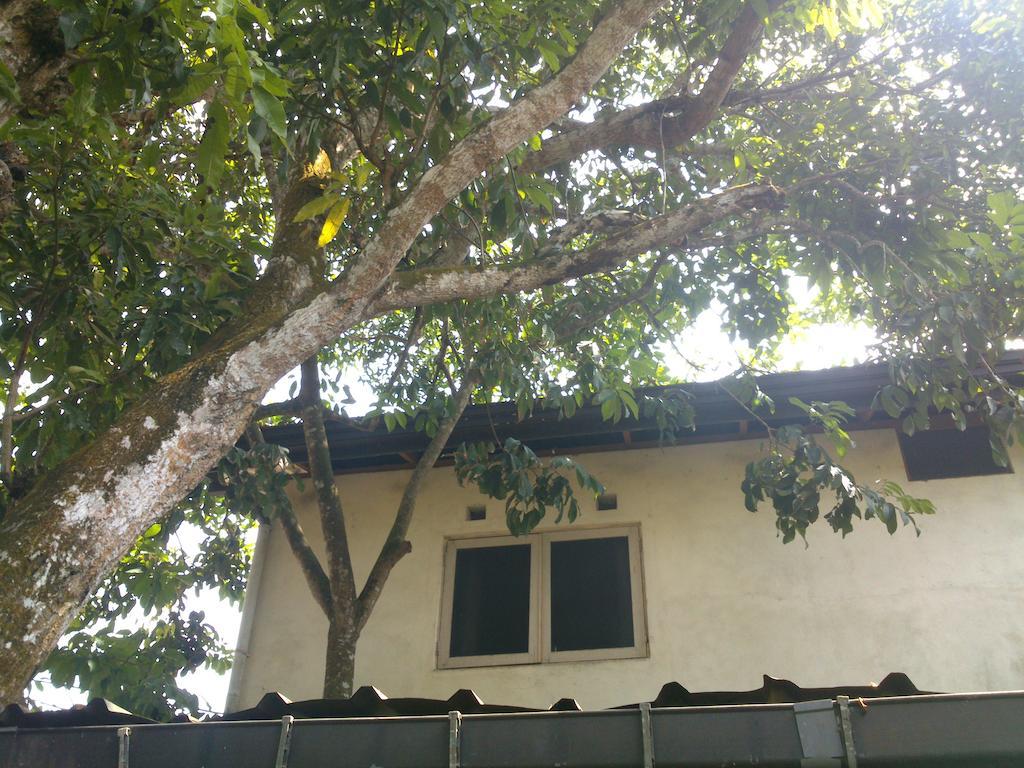 Anne'S Maisonnette Galle Dış mekan fotoğraf
