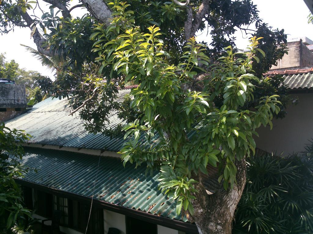 Anne'S Maisonnette Galle Dış mekan fotoğraf