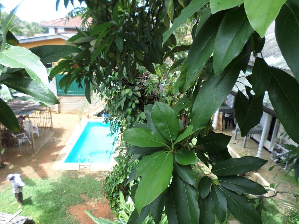 Anne'S Maisonnette Galle Dış mekan fotoğraf