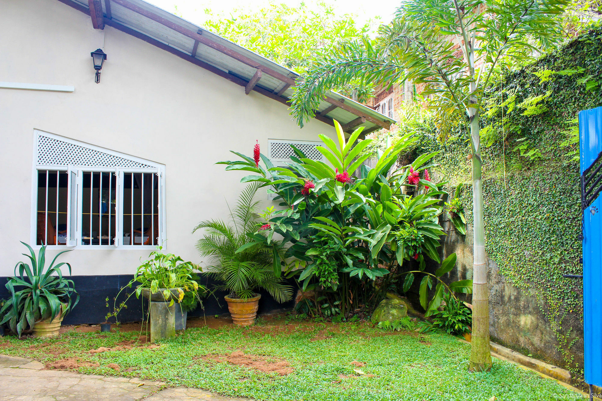 Anne'S Maisonnette Galle Dış mekan fotoğraf